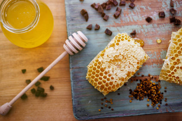 Bee Propolis: Ancient Healer and Modern Miracle