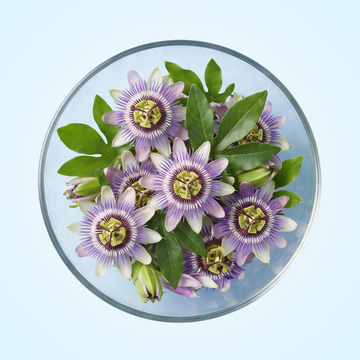 Passion Flower