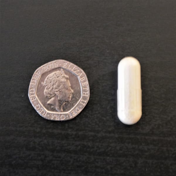 Advanced Multi (Multivitamin and Mineral Complex 5-MTHF, D3, K2, B12, CoQ10) - Autoimmune Institute